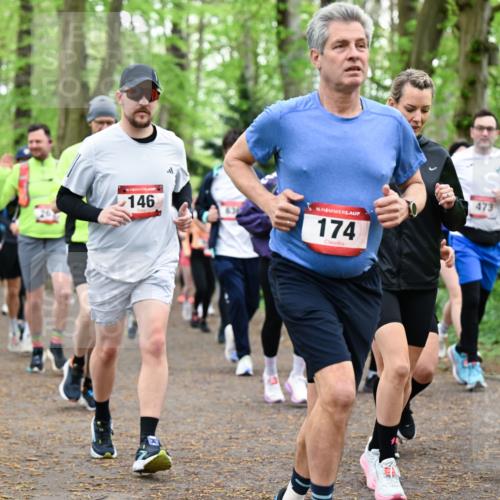 19.04.2026 - Hammer Lauf Dr. Thomas Lammeyer http://msf.ph/oto/9544266 19.04.2026 11:04:29 Laufen 146, 174, 473 meine-sportfotos.de