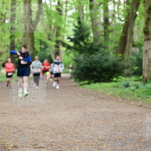 19.04.2026 - Hammer Lauf Dr. Thomas Lammeyer http://msf.ph/oto/9544356 19.04.2026 11:04:39 Laufen  meine-sportfotos.de