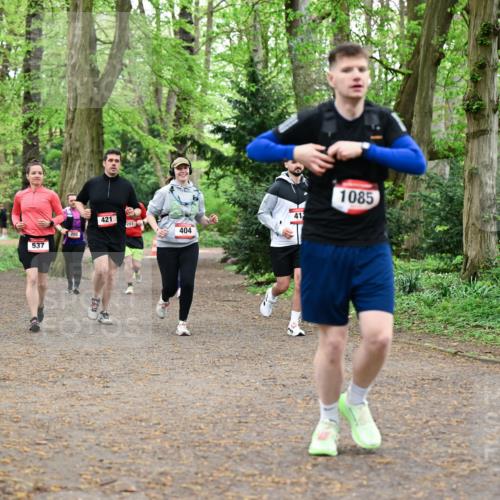 19.04.2026 - Hammer Lauf Dr. Thomas Lammeyer http://msf.ph/oto/9544393 19.04.2026 11:04:43 Laufen 537, 202, 421, 201, 404, 1085 meine-sportfotos.de