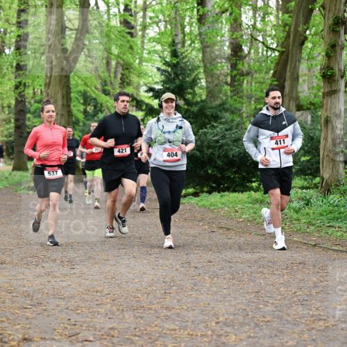 19.04.2026 - Hammer Lauf Dr. Thomas Lammeyer http://msf.ph/oto/9544408 19.04.2026 11:04:44 Laufen 537, 421, 411, 404 meine-sportfotos.de