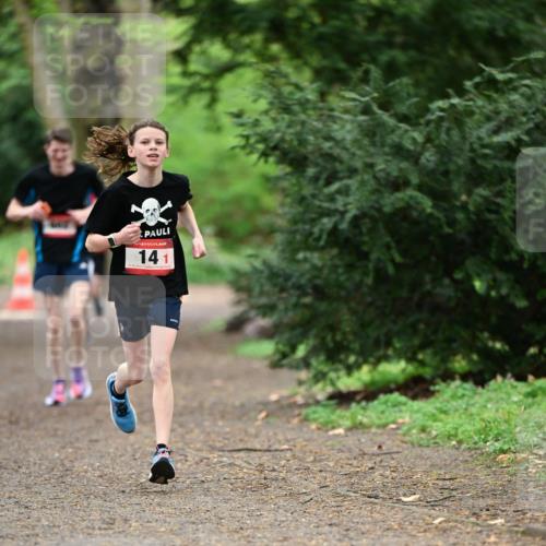 19.04.2026 - Hammer Lauf Dr. Thomas Lammeyer http://msf.ph/oto/9545592 19.04.2026 11:25:45 Laufen  meine-sportfotos.de