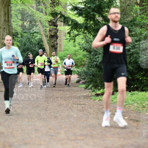 19.04.2026 - Hammer Lauf Dr. Thomas Lammeyer http://msf.ph/oto/9548785 19.04.2026 11:33:42 Laufen 656, 144, 145, 530 meine-sportfotos.de
