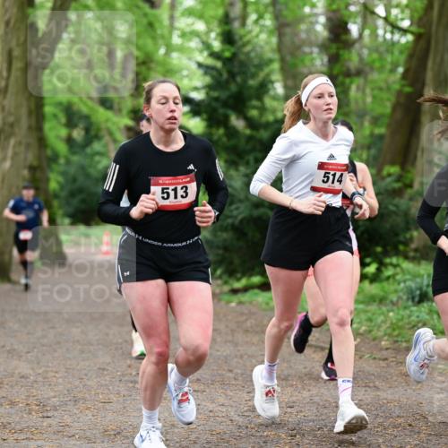 19.04.2026 - Hammer Lauf Dr. Thomas Lammeyer http://msf.ph/oto/9549056 19.04.2026 11:34:31 Laufen 513, 514, 1151 meine-sportfotos.de