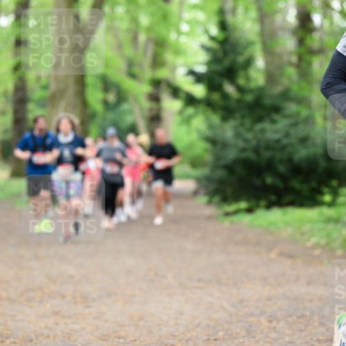 19.04.2026 - Hammer Lauf Dr. Thomas Lammeyer http://msf.ph/oto/9549214 19.04.2026 11:35:17 Laufen 192 meine-sportfotos.de