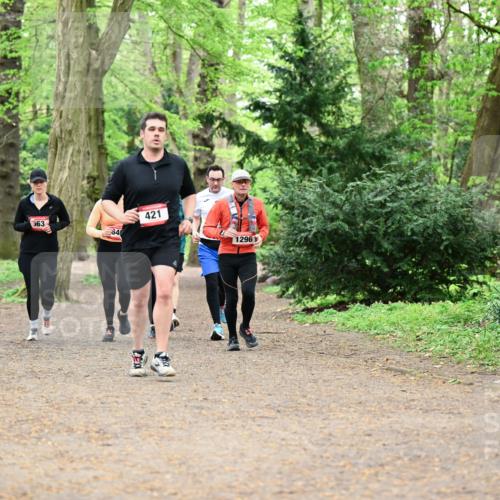 19.04.2026 - Hammer Lauf Dr. Thomas Lammeyer http://msf.ph/oto/9549398 19.04.2026 11:35:37 Laufen 563, 421, 1296 meine-sportfotos.de