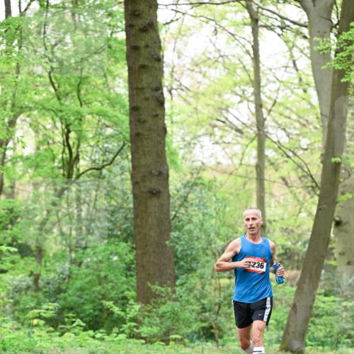 19.04.2026 - Hammer Lauf Dr. Thomas Lammeyer http://msf.ph/oto/9552119 19.04.2026 12:04:27 Laufen 236 meine-sportfotos.de