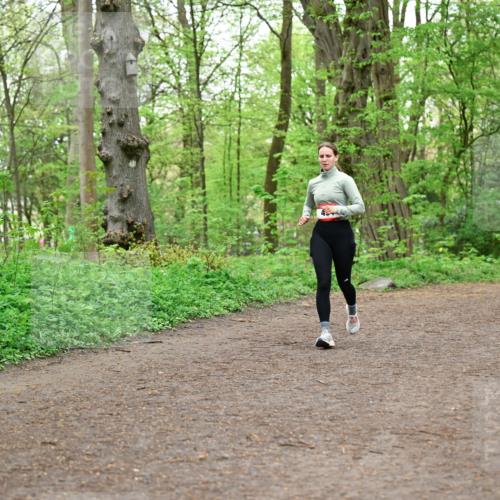 19.04.2026 - Hammer Lauf Dr. Thomas Lammeyer http://msf.ph/oto/9556777 19.04.2026 12:39:24 Laufen 558 meine-sportfotos.de