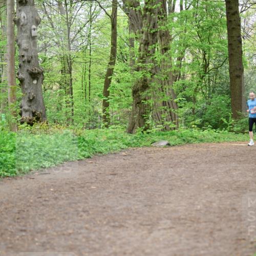 19.04.2026 - Hammer Lauf Dr. Thomas Lammeyer http://msf.ph/oto/9558076 19.04.2026 12:43:27 Laufen  meine-sportfotos.de