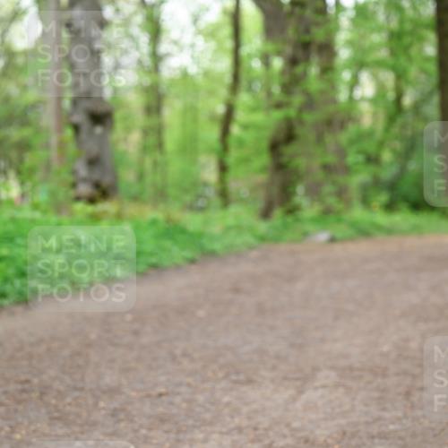 19.04.2026 - Hammer Lauf Dr. Thomas Lammeyer http://msf.ph/oto/9558211 19.04.2026 12:43:58 Laufen  meine-sportfotos.de