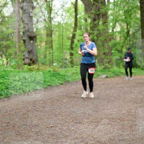 19.04.2026 - Hammer Lauf Dr. Thomas Lammeyer http://msf.ph/oto/9558276 19.04.2026 12:44:15 Laufen 642 meine-sportfotos.de
