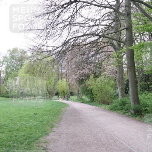 19.04.2026 - Hammer Lauf Lena Gebhardt http://msf.ph/oto/9561719 19.04.2026 08:56:45 Laufen  meine-sportfotos.de