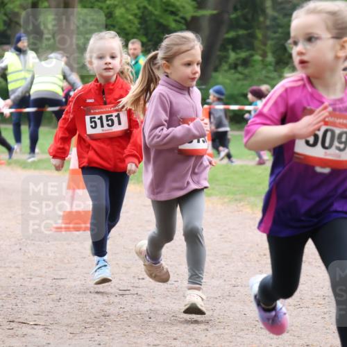 19.04.2026 - Hammer Lauf Lena Gebhardt http://msf.ph/oto/9561742 19.04.2026 09:01:05 Laufen 5052, 16, 5151, 5097 meine-sportfotos.de