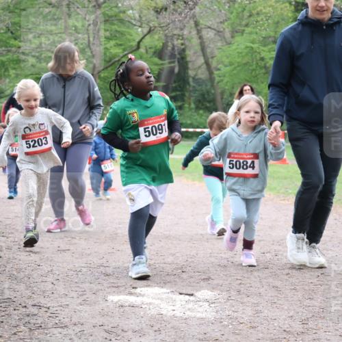 19.04.2026 - Hammer Lauf Lena Gebhardt http://msf.ph/oto/9561915 19.04.2026 09:02:05 Laufen 510, 5203, 518, 16, 5091, 5084 meine-sportfotos.de
