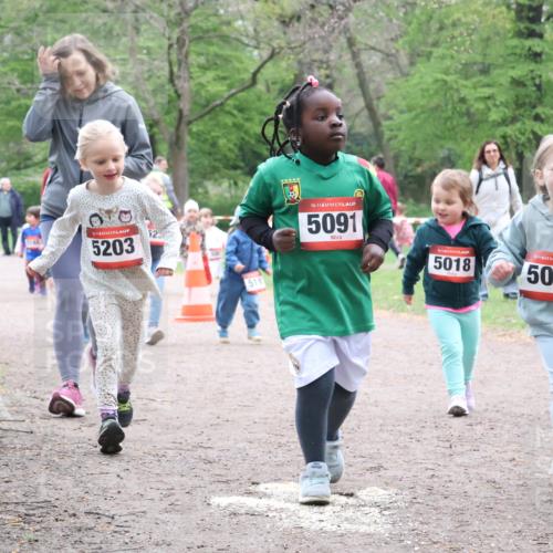 19.04.2026 - Hammer Lauf Lena Gebhardt http://msf.ph/oto/9561917 19.04.2026 09:02:06 Laufen 5203, 518, 16, 5091, 5018, 5084 meine-sportfotos.de