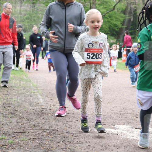 19.04.2026 - Hammer Lauf Lena Gebhardt http://msf.ph/oto/9561919 19.04.2026 09:02:06 Laufen 150, 16, 5203, 506, 16, 5118, 18 meine-sportfotos.de