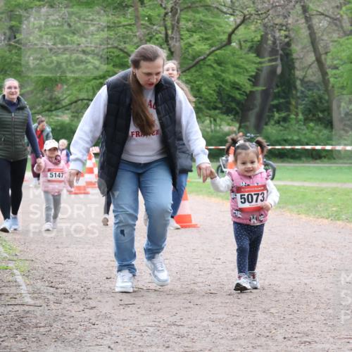 19.04.2026 - Hammer Lauf Lena Gebhardt http://msf.ph/oto/9561986 19.04.2026 09:03:11 Laufen 5147, 16, 5073 meine-sportfotos.de