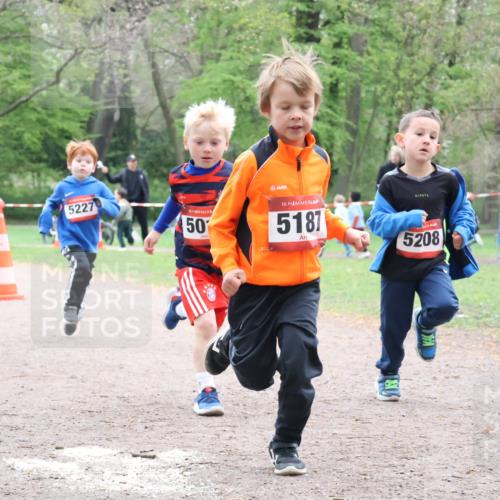 19.04.2026 - Hammer Lauf Lena Gebhardt http://msf.ph/oto/9562035 19.04.2026 09:11:02 Laufen 5215, 5227, 50, 16, 5187, 5208 meine-sportfotos.de