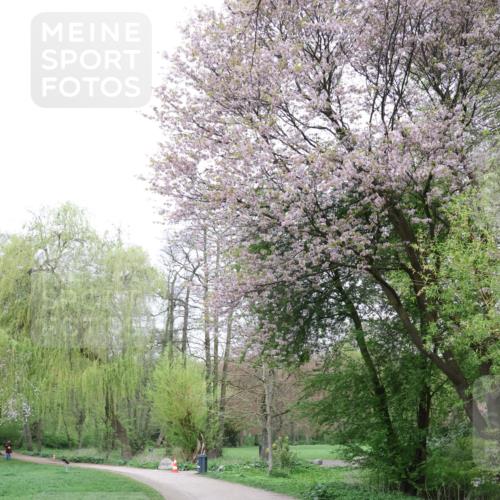 19.04.2026 - Hammer Lauf Lena Gebhardt http://msf.ph/oto/9562270 19.04.2026 09:16:18 Laufen  meine-sportfotos.de