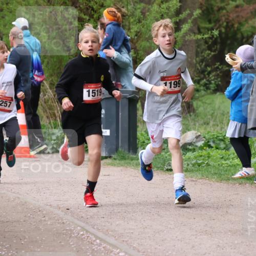 19.04.2026 - Hammer Lauf Lena Gebhardt http://msf.ph/oto/9562319 19.04.2026 09:24:48 Laufen 1257, 16, 1519, 16, 1199 meine-sportfotos.de