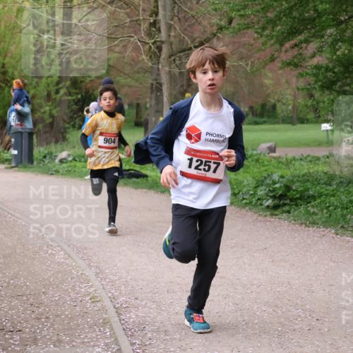 19.04.2026 - Hammer Lauf Lena Gebhardt http://msf.ph/oto/9562328 19.04.2026 09:24:52 Laufen 117, 904, 16, 1257 meine-sportfotos.de