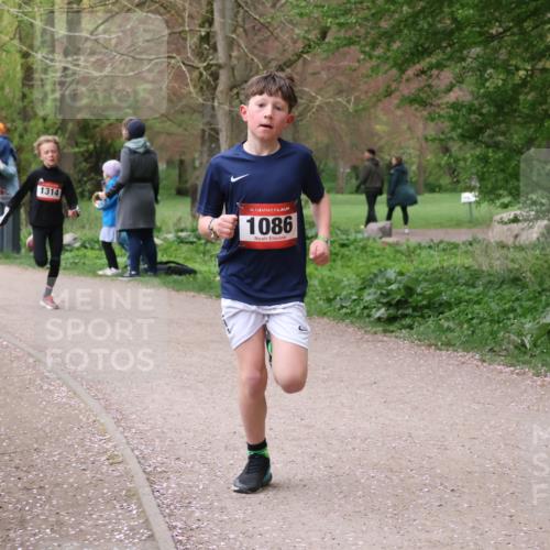 19.04.2026 - Hammer Lauf Lena Gebhardt http://msf.ph/oto/9562339 19.04.2026 09:24:57 Laufen 1314, 16, 1086 meine-sportfotos.de