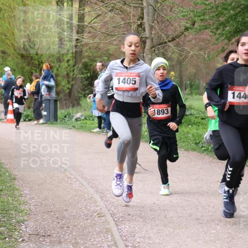 19.04.2026 - Hammer Lauf Lena Gebhardt http://msf.ph/oto/9562361 19.04.2026 09:25:06 Laufen 1532, 16, 1405, 1893, 16, 144, 16, 1055, 1 meine-sportfotos.de