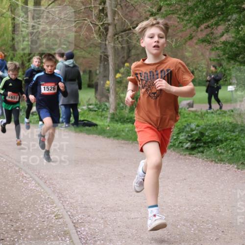 19.04.2026 - Hammer Lauf Lena Gebhardt http://msf.ph/oto/9562383 19.04.2026 09:25:15 Laufen 433, 651, 1526 meine-sportfotos.de