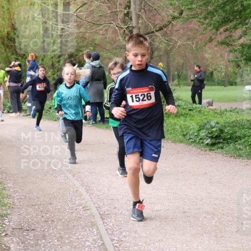 19.04.2026 - Hammer Lauf Lena Gebhardt http://msf.ph/oto/9562388 19.04.2026 09:25:17 Laufen 1915, 1811, 458, 63, 16, 1526 meine-sportfotos.de