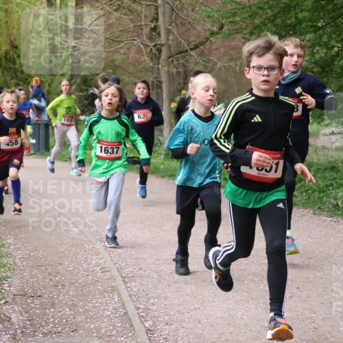 19.04.2026 - Hammer Lauf Lena Gebhardt http://msf.ph/oto/9562392 19.04.2026 09:25:18 Laufen 58, 1915, 1637, 63, 531 meine-sportfotos.de