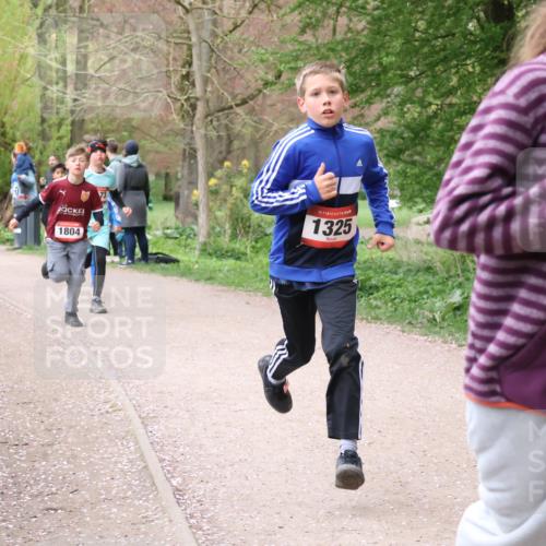 19.04.2026 - Hammer Lauf Lena Gebhardt http://msf.ph/oto/9562409 19.04.2026 09:25:24 Laufen 1525, 1804, 16, 1325, 16 meine-sportfotos.de