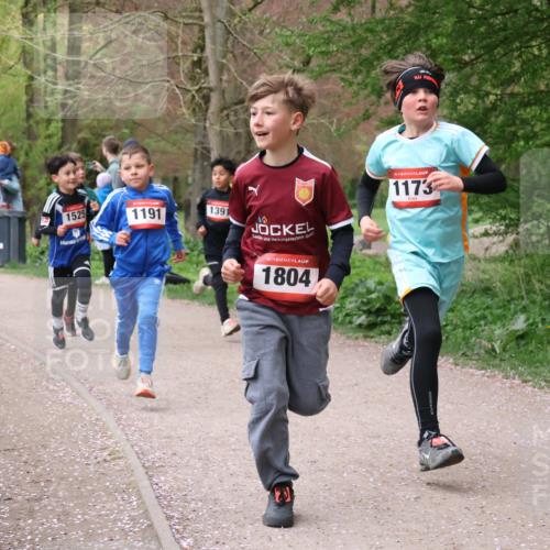 19.04.2026 - Hammer Lauf Lena Gebhardt http://msf.ph/oto/9562413 19.04.2026 09:25:25 Laufen 1522, 1525, 1191, 1391, 16, 1804, 16, 1173 meine-sportfotos.de