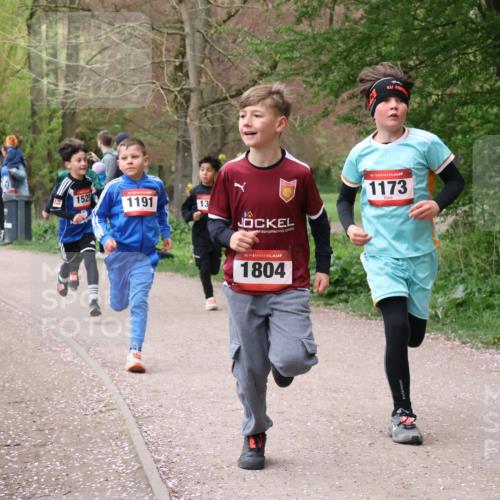 19.04.2026 - Hammer Lauf Lena Gebhardt http://msf.ph/oto/9562414 19.04.2026 09:25:25 Laufen 1522, 1525, 1191, 13, 16, 1804, 16, 1173 meine-sportfotos.de