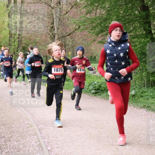 19.04.2026 - Hammer Lauf Lena Gebhardt http://msf.ph/oto/9562429 19.04.2026 09:25:32 Laufen 1822, 1863, 569, 1432, 1875, 1816 meine-sportfotos.de