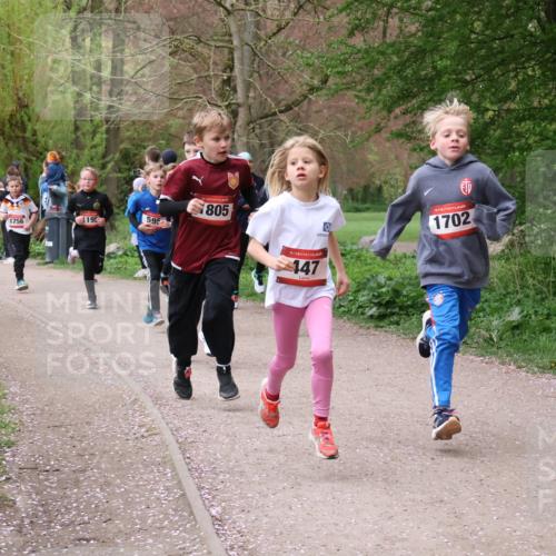 19.04.2026 - Hammer Lauf Lena Gebhardt http://msf.ph/oto/9562445 19.04.2026 09:25:38 Laufen 1530, 195, 595, 1756, 805, 16, 147, 1702 meine-sportfotos.de