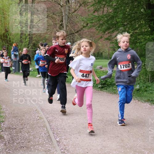 19.04.2026 - Hammer Lauf Lena Gebhardt http://msf.ph/oto/9562446 19.04.2026 09:25:38 Laufen 1530, 1756, 195, 595, 805, 16, 447, 1702 meine-sportfotos.de