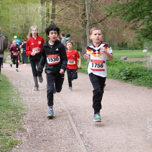 19.04.2026 - Hammer Lauf Lena Gebhardt http://msf.ph/oto/9562461 19.04.2026 09:25:42 Laufen 1175, 1439, 1530, 769, 1756, 16, 1 meine-sportfotos.de