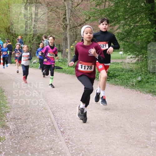 19.04.2026 - Hammer Lauf Lena Gebhardt http://msf.ph/oto/9562468 19.04.2026 09:25:45 Laufen 1310, 810, 927, 1240, 1523, 1172, 8, 16, 1178, 521 meine-sportfotos.de