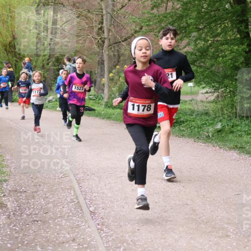 19.04.2026 - Hammer Lauf Lena Gebhardt http://msf.ph/oto/9562469 19.04.2026 09:25:45 Laufen 1310, 10, 927, 1240, 1523, 1172, 3, 1178, 21 meine-sportfotos.de