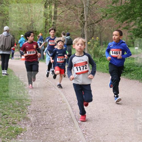 19.04.2026 - Hammer Lauf Lena Gebhardt http://msf.ph/oto/9562473 19.04.2026 09:25:48 Laufen 1810, 1316, 1240, 16, 1172, 1461 meine-sportfotos.de
