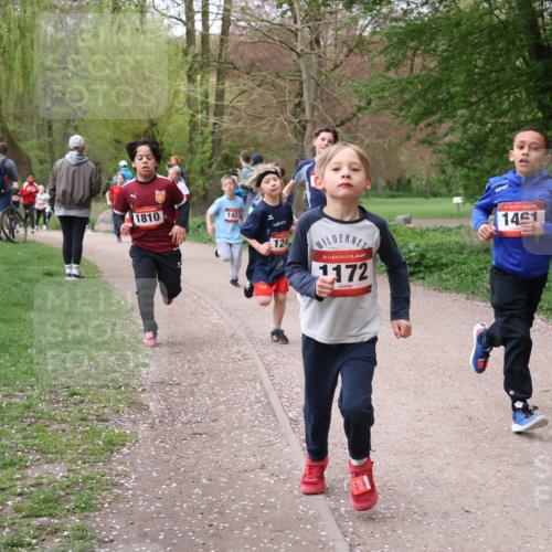 19.04.2026 - Hammer Lauf Lena Gebhardt http://msf.ph/oto/9562475 19.04.2026 09:25:48 Laufen 1810, 1433, 124, 16, 1172, 1461 meine-sportfotos.de