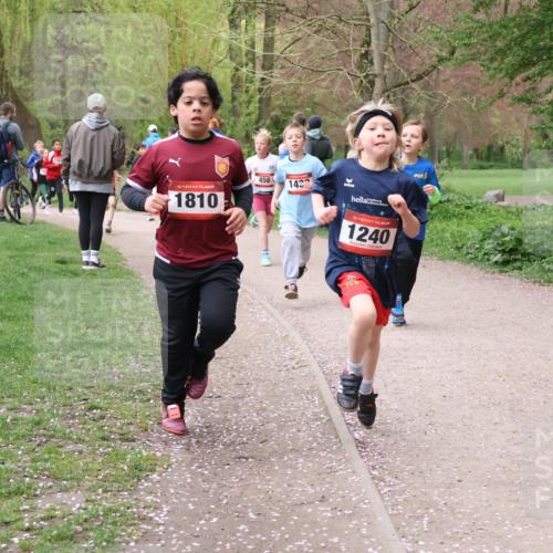 19.04.2026 - Hammer Lauf Lena Gebhardt http://msf.ph/oto/9562476 19.04.2026 09:25:49 Laufen 16, 1810, 456, 143, 16, 1240 meine-sportfotos.de