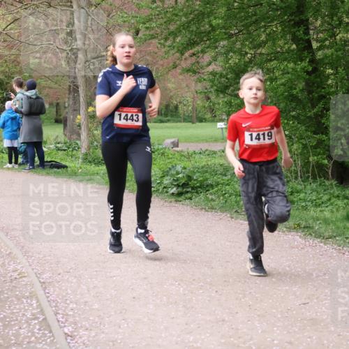 19.04.2026 - Hammer Lauf Lena Gebhardt http://msf.ph/oto/9562500 19.04.2026 09:25:58 Laufen 60, 1443, 1419 meine-sportfotos.de