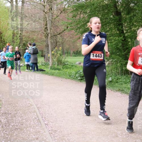 19.04.2026 - Hammer Lauf Lena Gebhardt http://msf.ph/oto/9562502 19.04.2026 09:25:59 Laufen 1435, 15, 160, 16, 1443, 16, 1419 meine-sportfotos.de