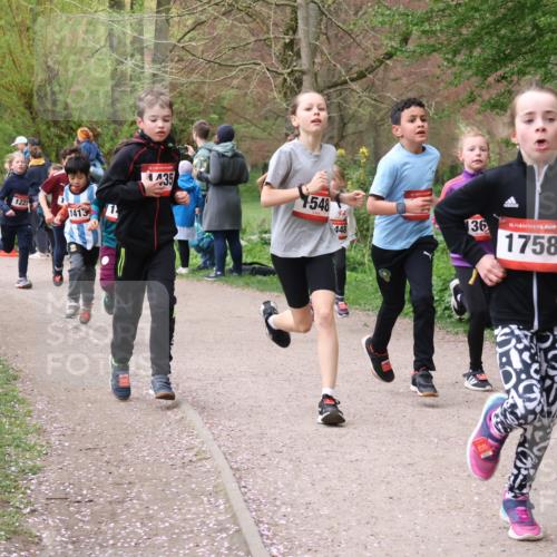 19.04.2026 - Hammer Lauf Lena Gebhardt http://msf.ph/oto/9562508 19.04.2026 09:26:02 Laufen 1221, 1413, 1435, 00, 1548, 448, 136, 16, 1758 meine-sportfotos.de