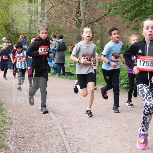 19.04.2026 - Hammer Lauf Lena Gebhardt http://msf.ph/oto/9562509 19.04.2026 09:26:02 Laufen 1221, 1412, 1435, 50, 16, 548, 1501, 1758, 448 meine-sportfotos.de