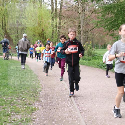 19.04.2026 - Hammer Lauf Lena Gebhardt http://msf.ph/oto/9562510 19.04.2026 09:26:03 Laufen 1413, 1435, 6, 1548 meine-sportfotos.de