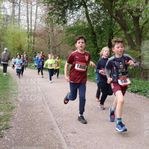 19.04.2026 - Hammer Lauf Lena Gebhardt http://msf.ph/oto/9562521 19.04.2026 09:26:07 Laufen 1306, 16, 1808, 16, 586 meine-sportfotos.de