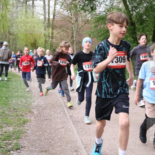 19.04.2026 - Hammer Lauf Lena Gebhardt http://msf.ph/oto/9562543 19.04.2026 09:26:15 Laufen 309, 1462, 1400, 184, 1014, 1373, 16, 1482, 16, 874 meine-sportfotos.de