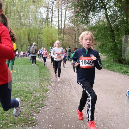 19.04.2026 - Hammer Lauf Lena Gebhardt http://msf.ph/oto/9562551 19.04.2026 09:26:17 Laufen 400, 1864, 917, 16, 1849, 2 meine-sportfotos.de
