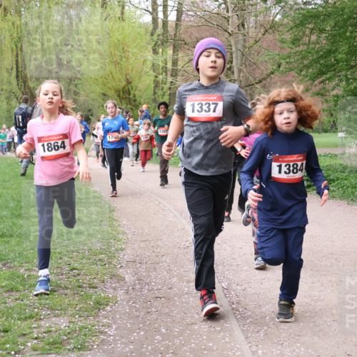 19.04.2026 - Hammer Lauf Lena Gebhardt http://msf.ph/oto/9562557 19.04.2026 09:26:18 Laufen 1864, 1397, 1337, 16, 1384, 1116 meine-sportfotos.de